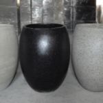 Chậu trứng trung